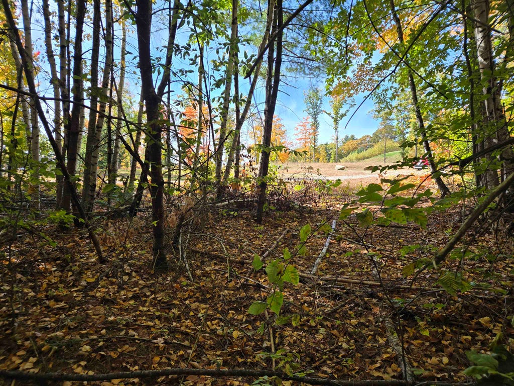 Photo of Cottage Road, Weare, NH 03281 (MLS # 5113444)