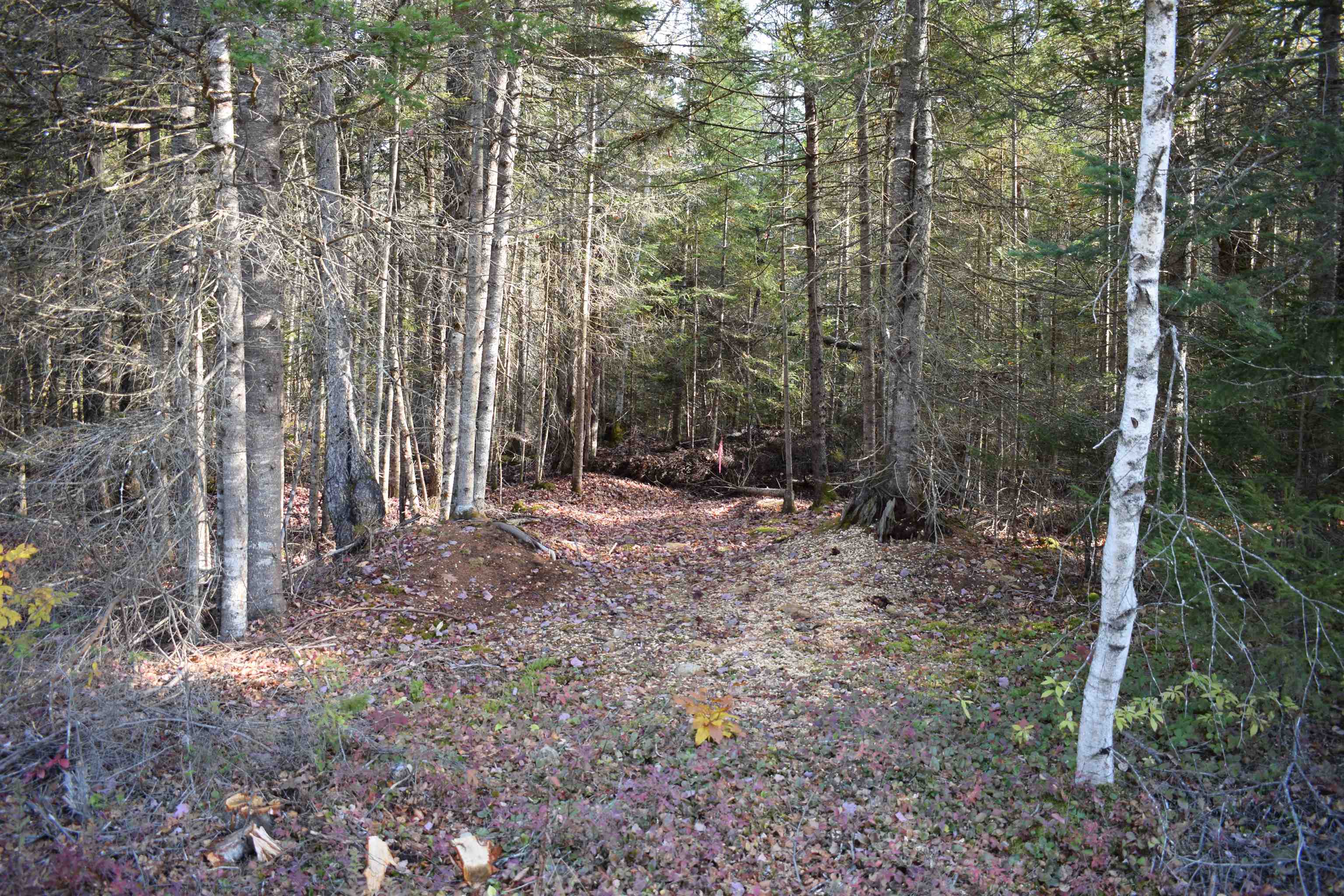 Lot 12 Mirror Lake Estates