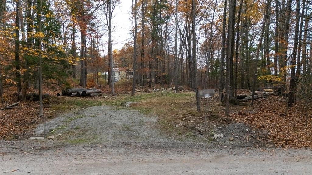 11 White Birch Road