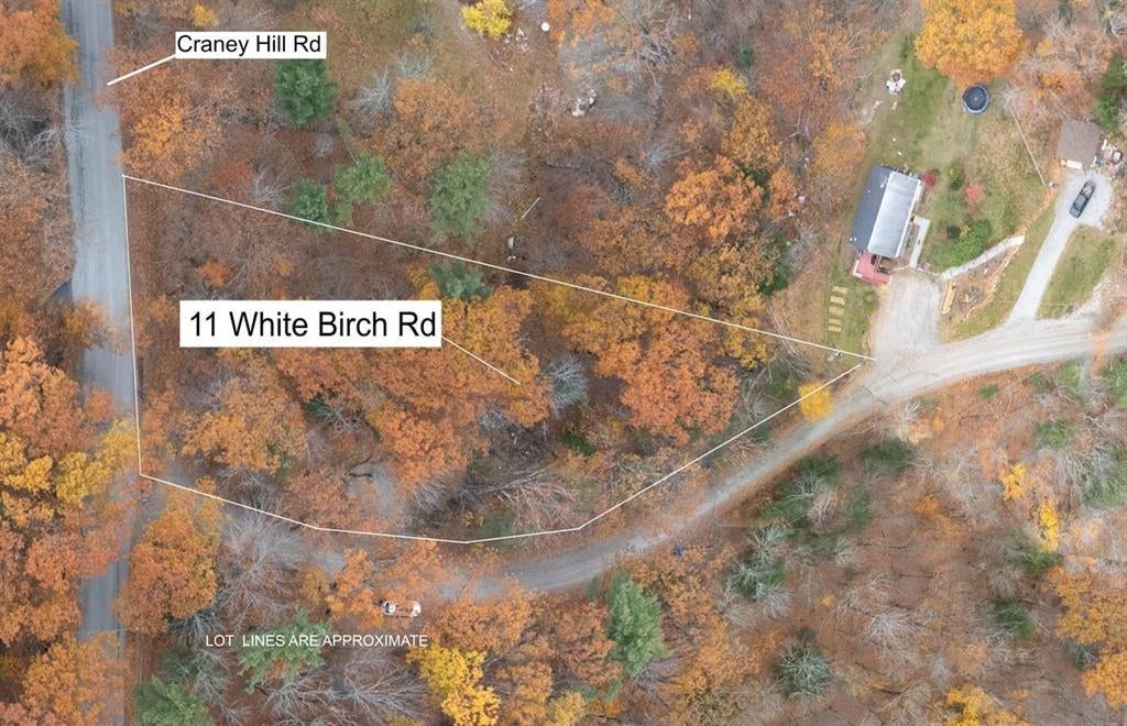 11 White Birch Road