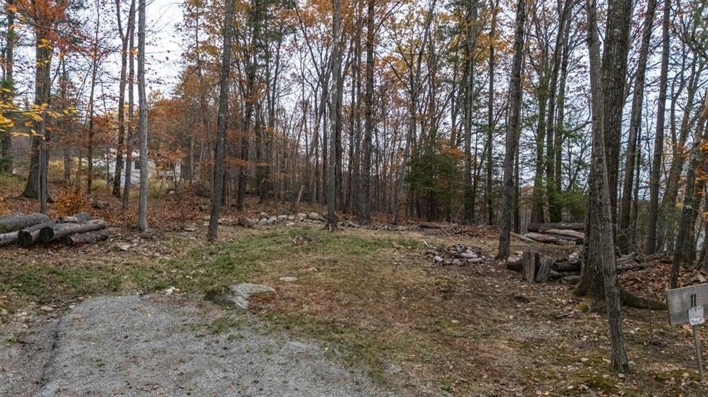 11 White Birch Road