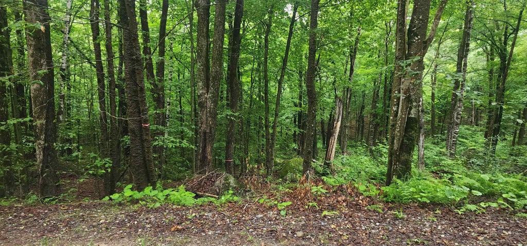 Photo of 142 Fox Hill Road #111-035, Stoddard, NH 03456 (MLS # 5103009)