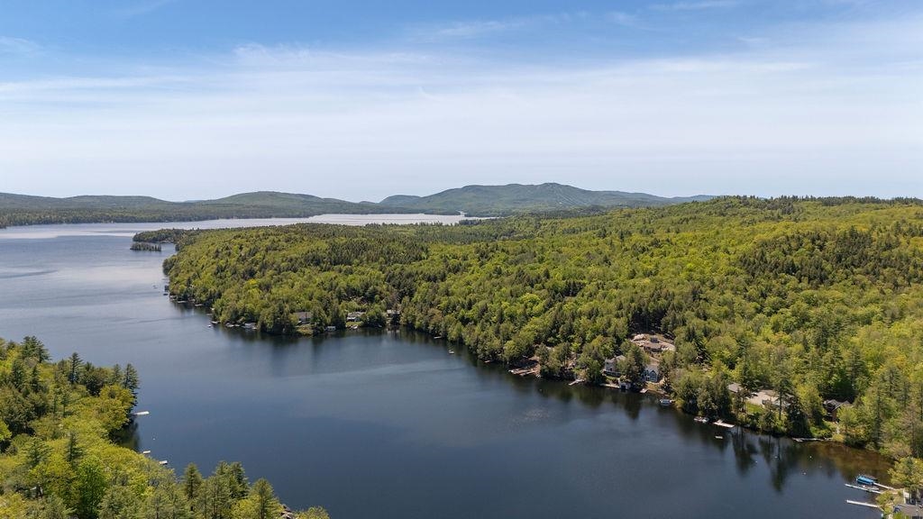 764 Jobs Creek Road 5