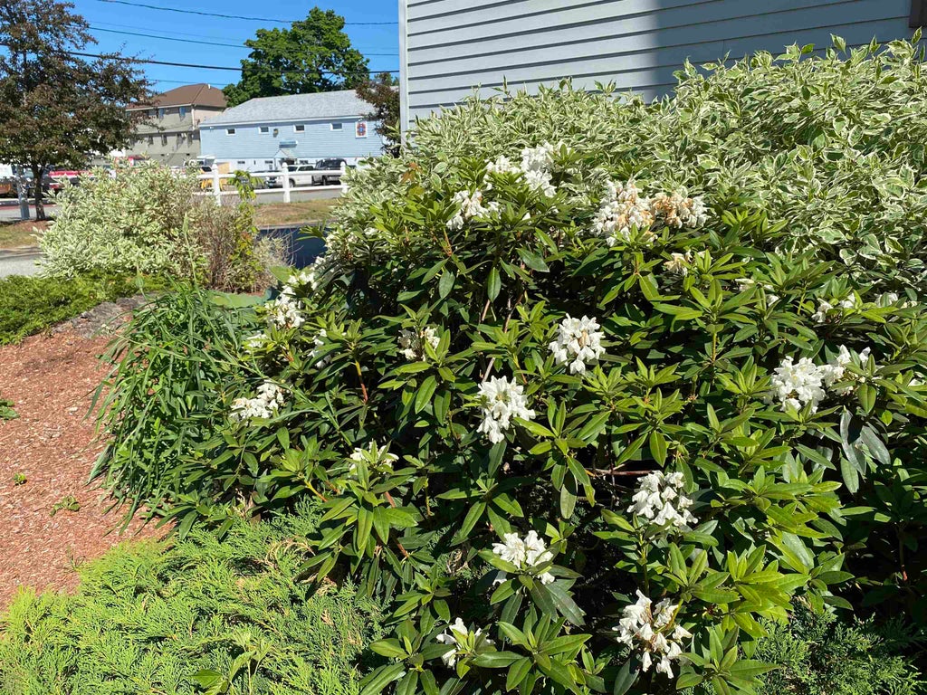 Photo of 7 Railroad Avenue #205, Derry, NH 03038 (MLS # 5115900)