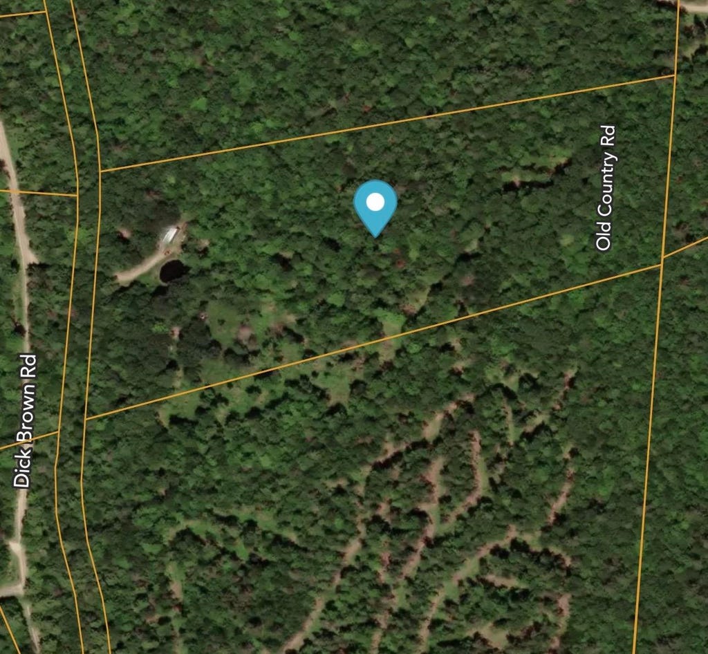 Photo of 1850 Dick Brown Road, Bridgewater, NH 03222 (MLS # 5079624)