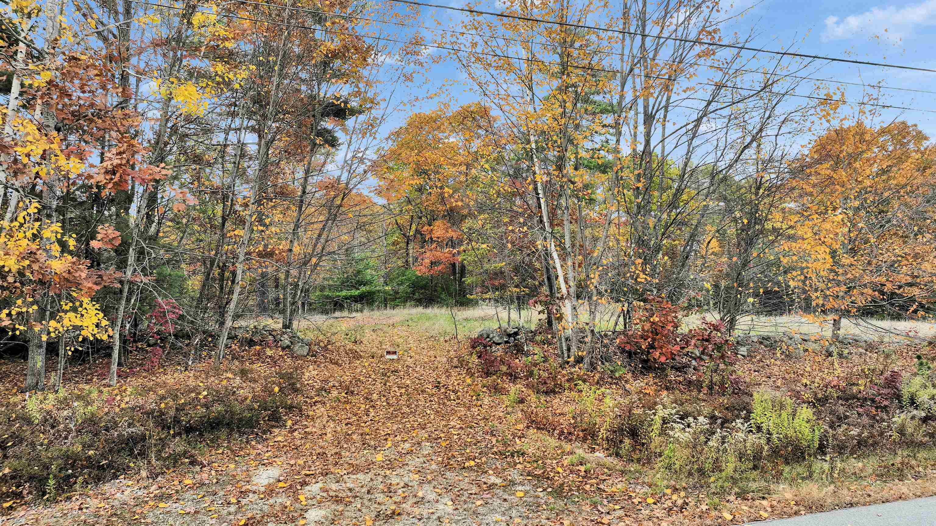 9 Winterberry Road