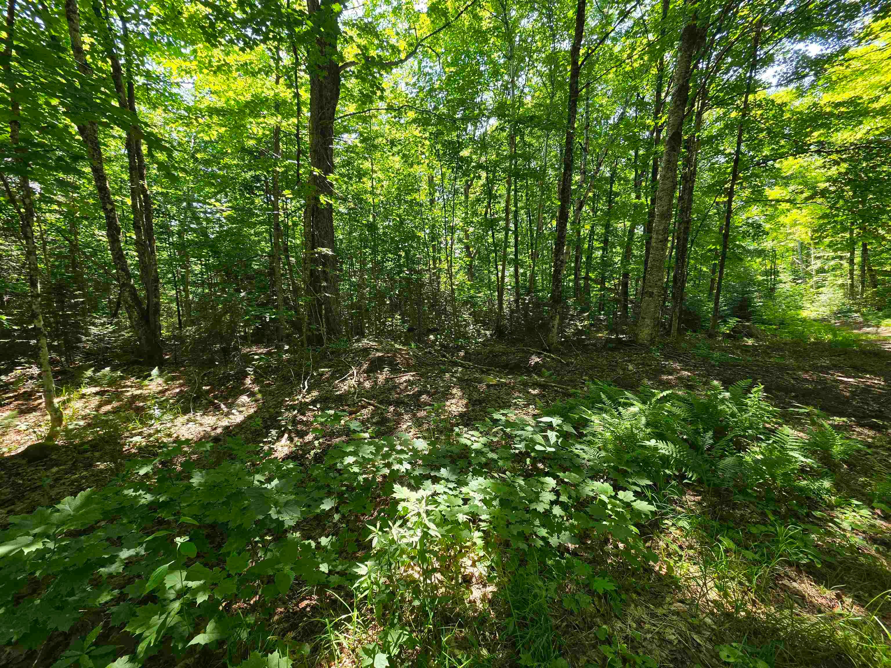 1700 Arcadia Lane