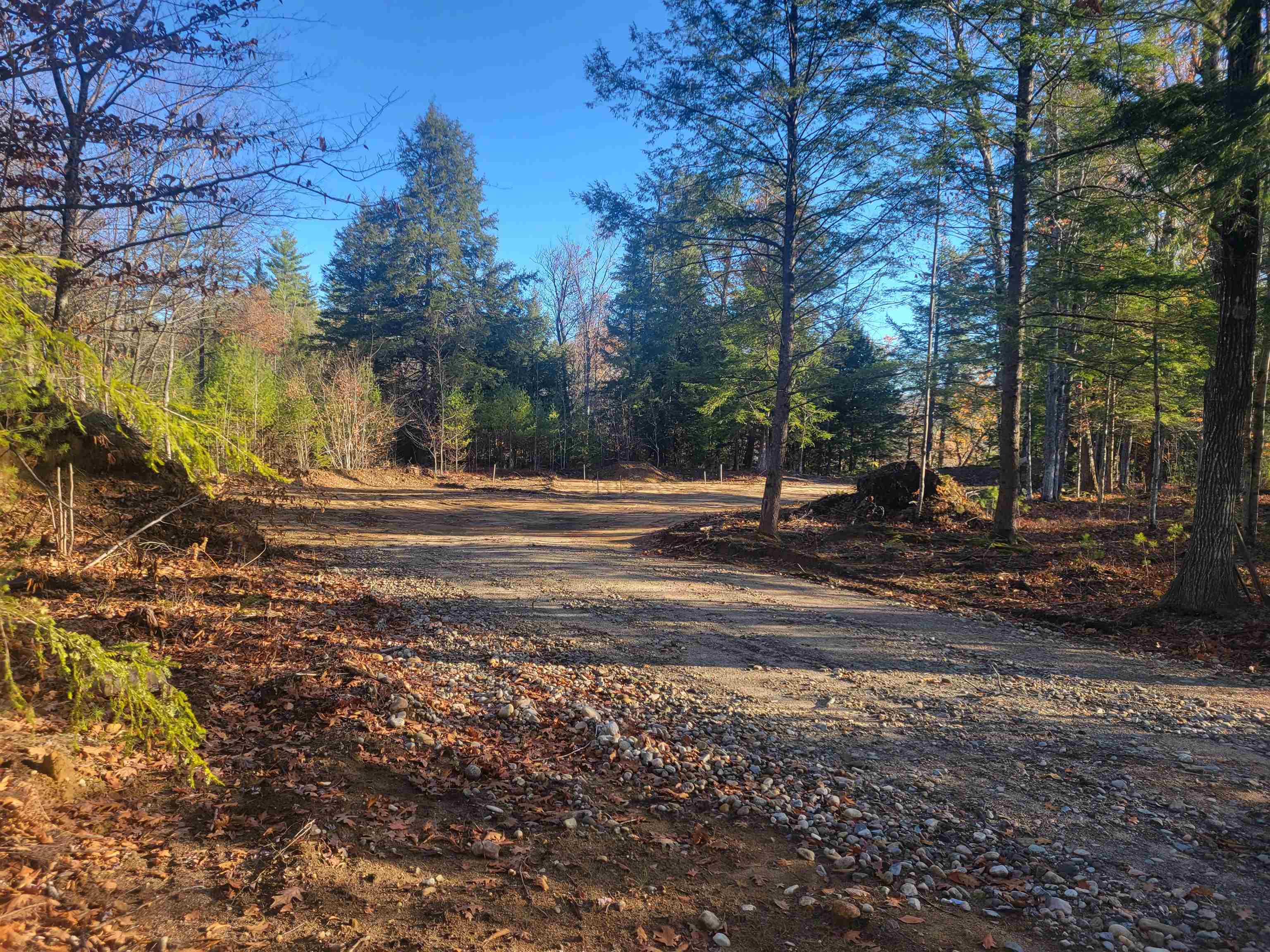 1555 River Road 2