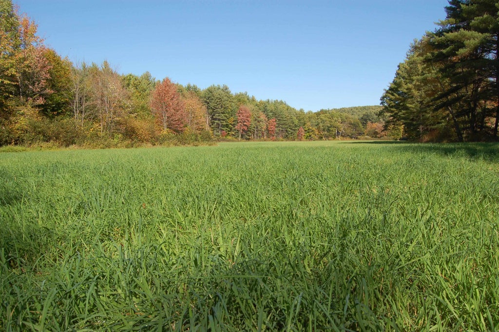 Photo of 111 Browns Way, Henniker, NH 03242 (MLS # 5110605)