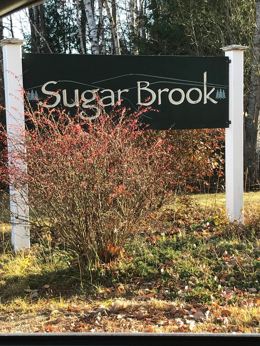 Photo of 27 Brook View Road #119-65, Newport, NH 03773 (MLS # 5017185)