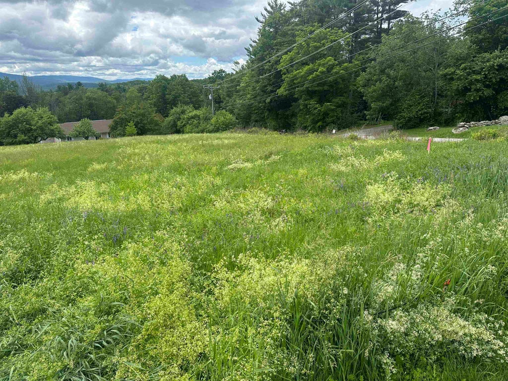 Photo of 31 North Road, Sunapee, NH 03782 (MLS # 5083797)