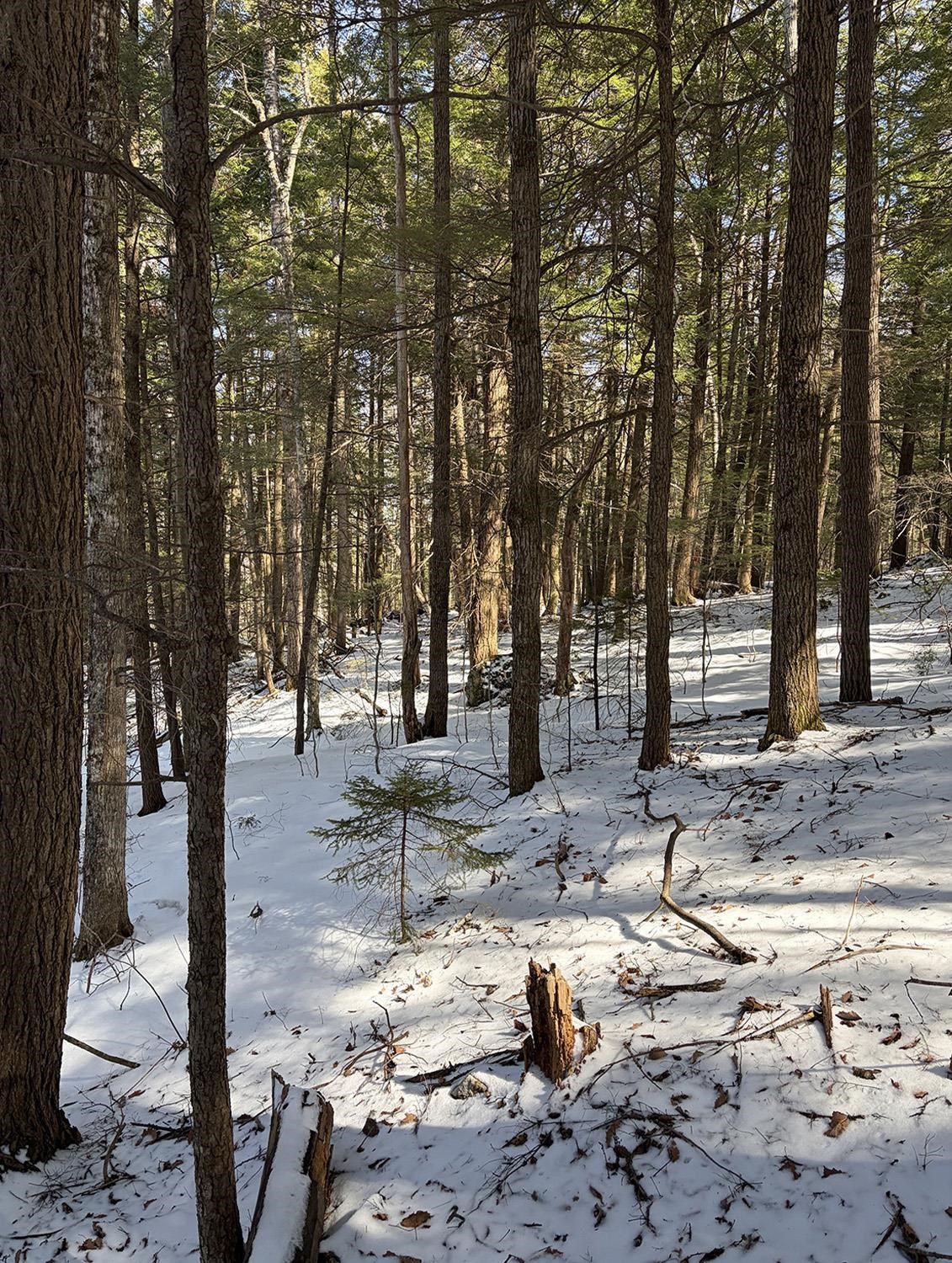 00 Hodgdon Road