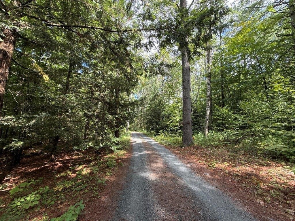 Photo of 38 Little Bud Lane, Canaan, NH 03741 (MLS # 5108717)
