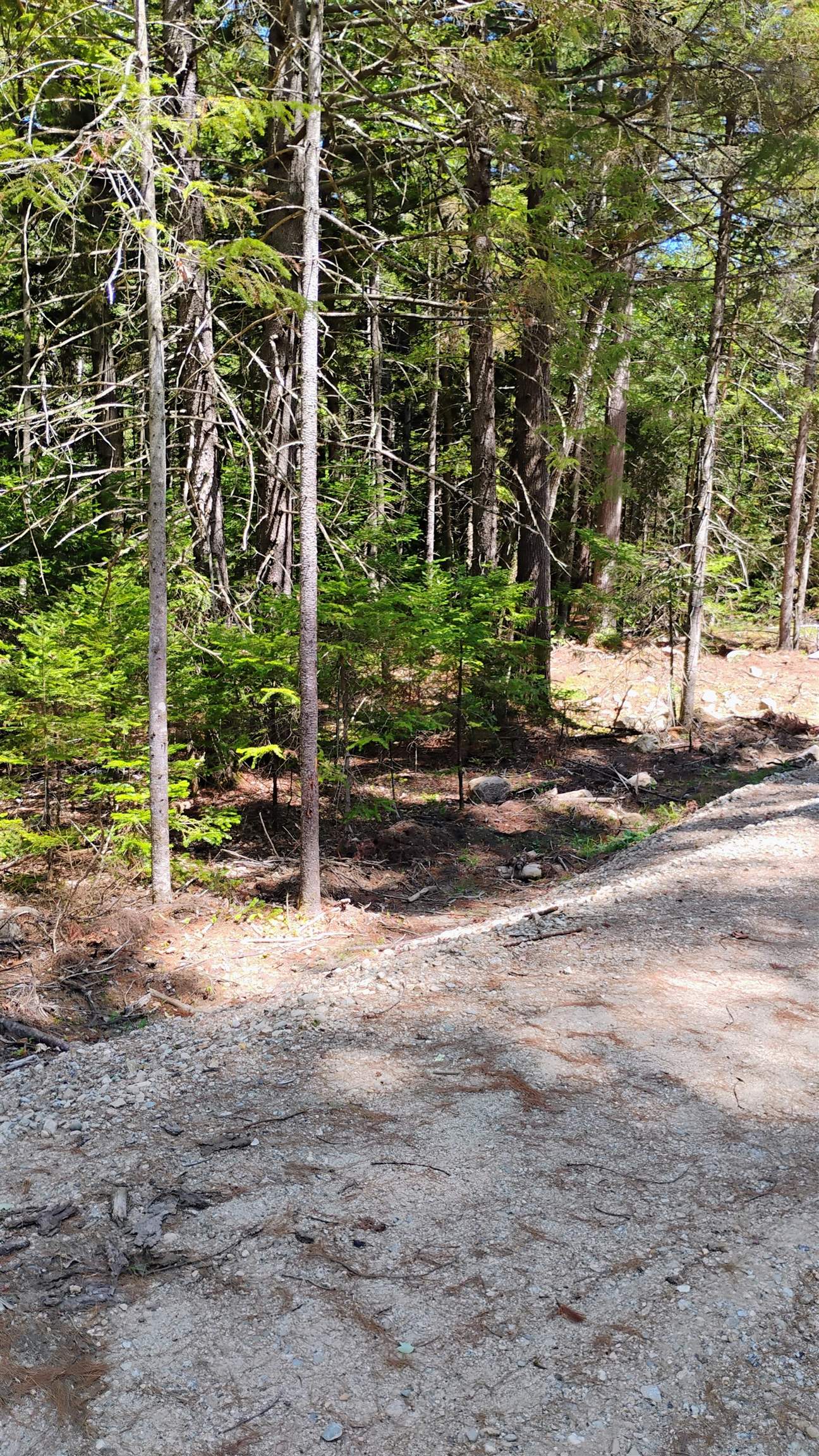 Lot 2 NH Route 4A