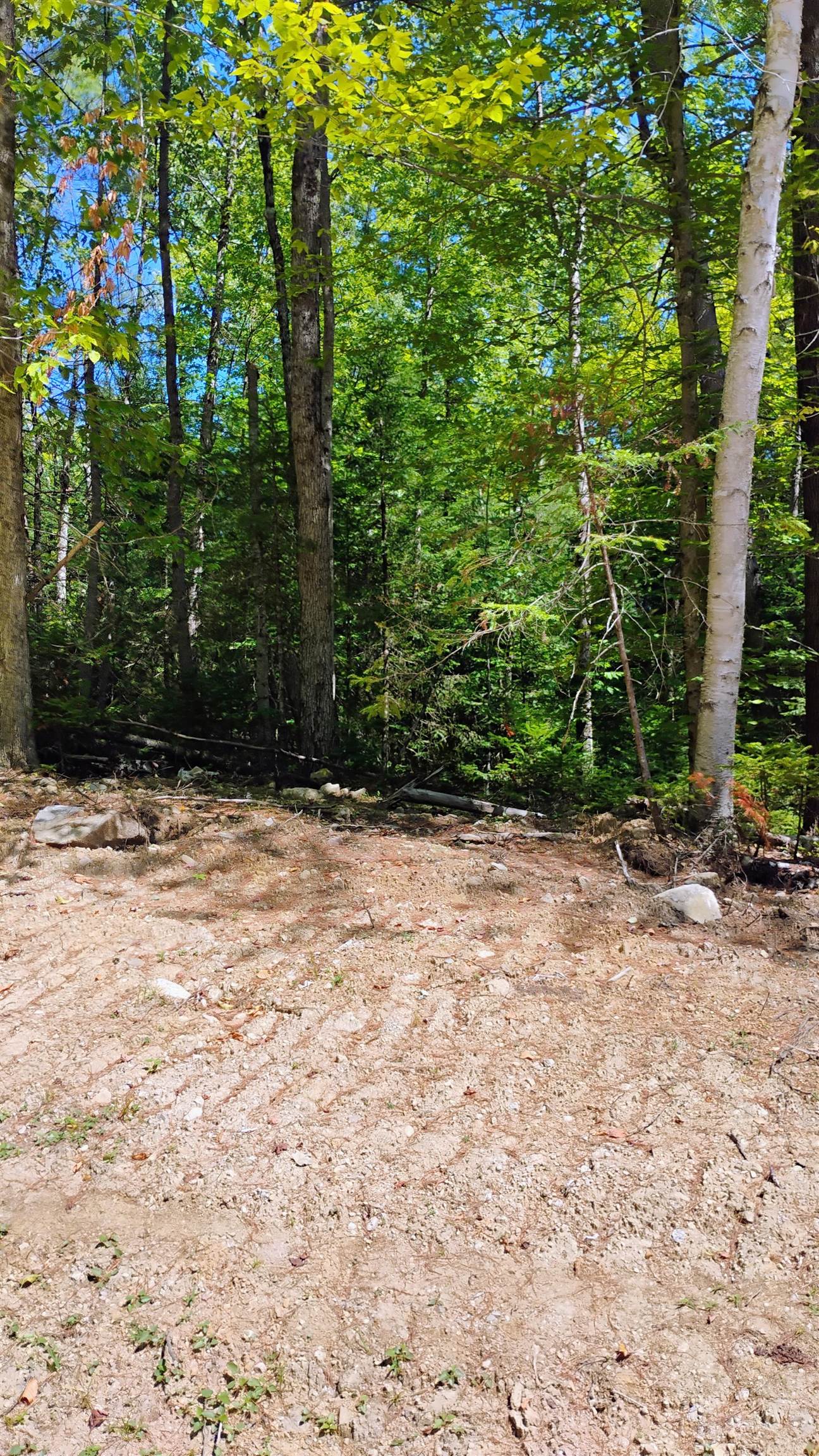Lot 2 NH Route 4A