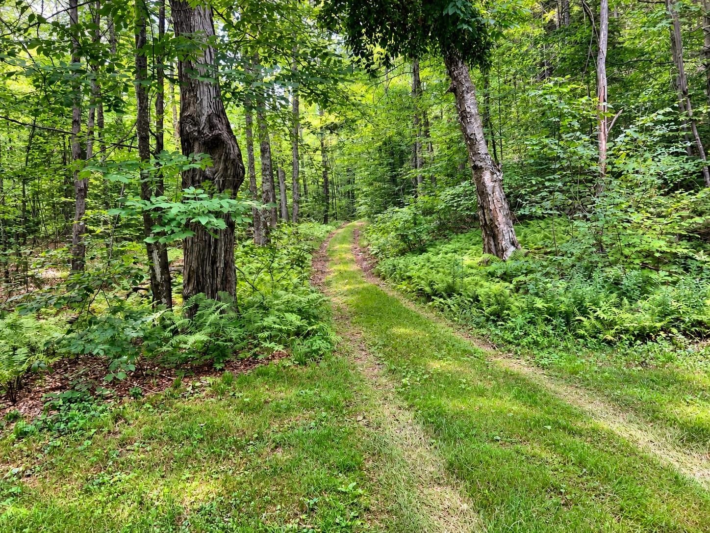 00 Lakota Road