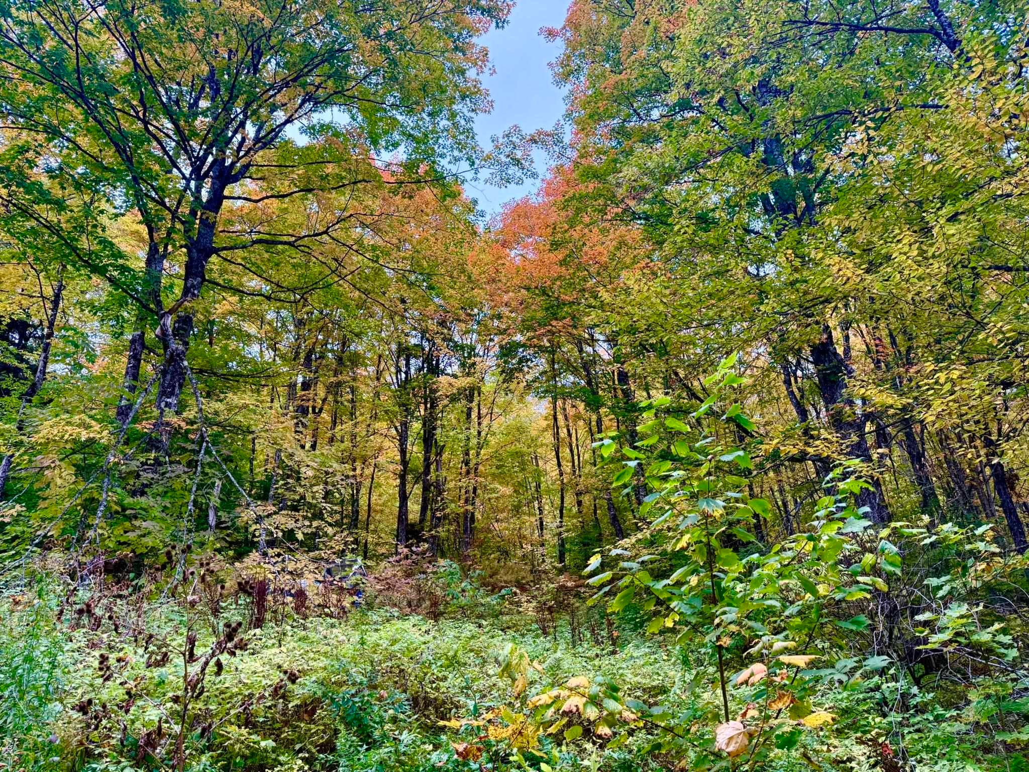 369 Hardscrabble Mountain Road Lot B