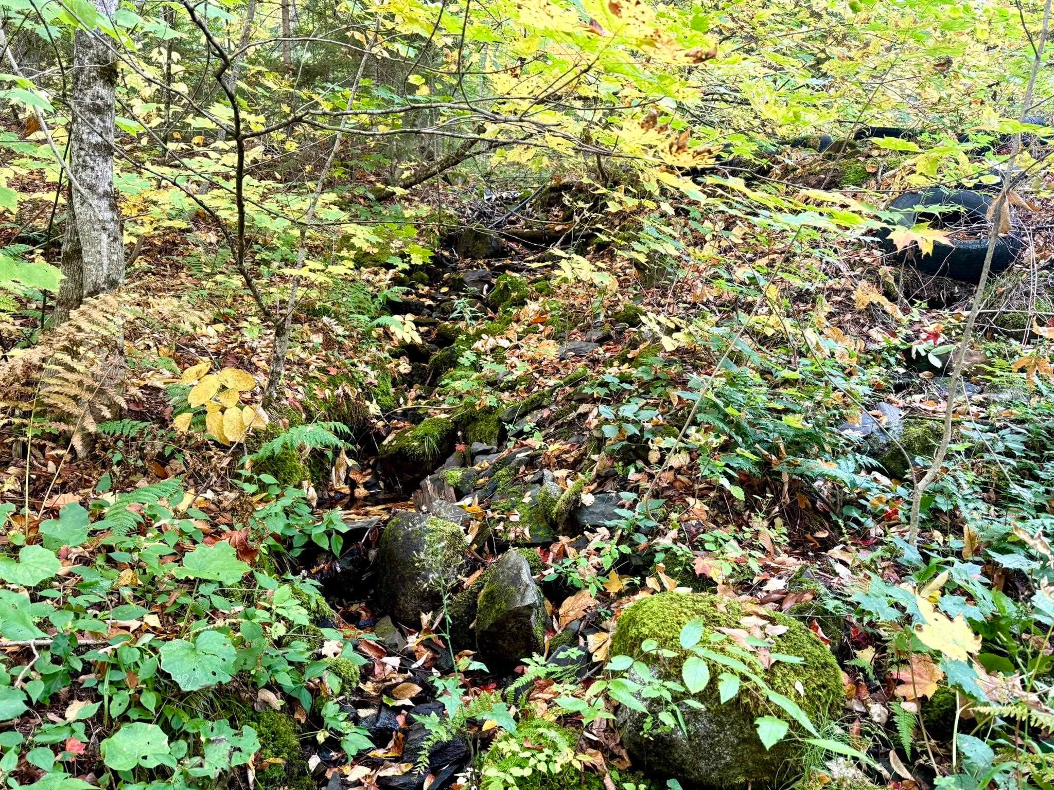 369 Hardscrabble Mountain Road Lot B