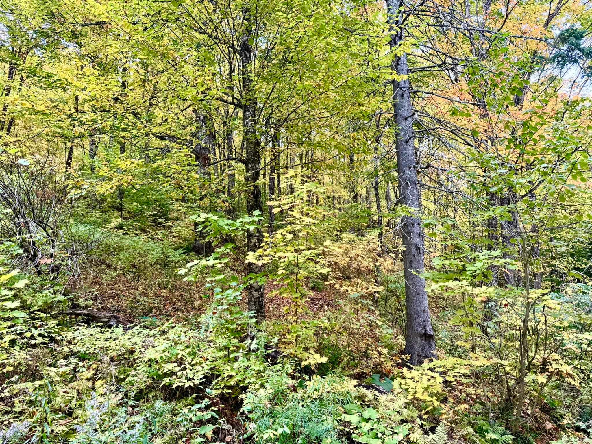 369 Hardscrabble Mountain Road Lot B