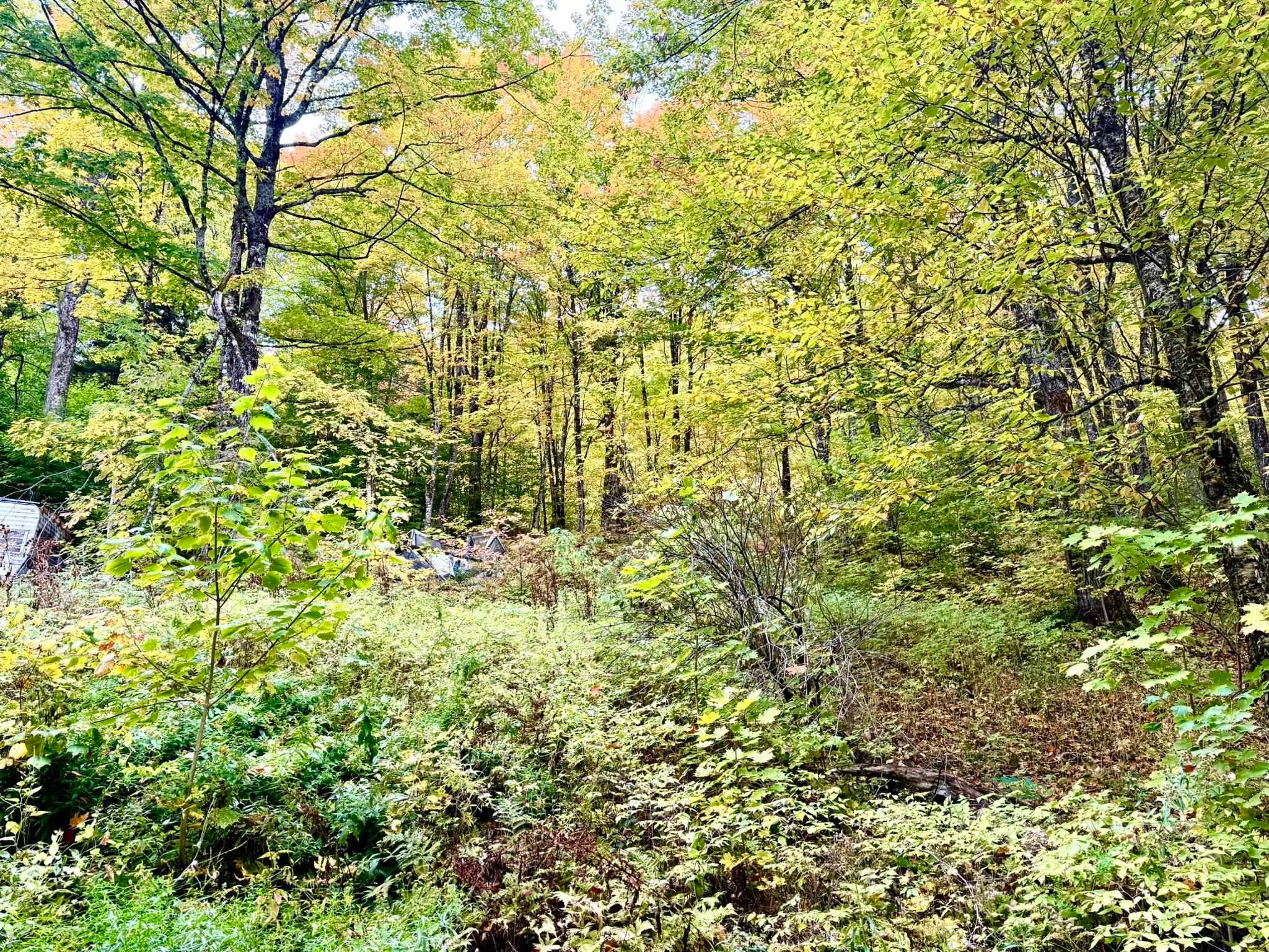 369 Hardscrabble Mountain Road Lot B