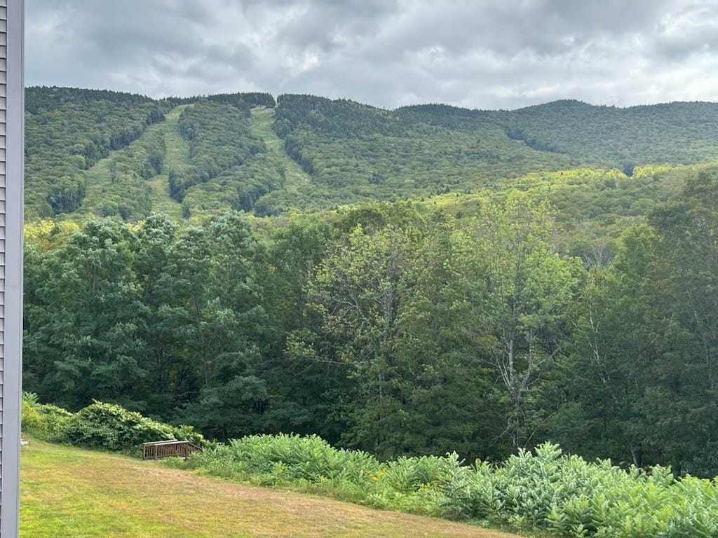 Photo of 36 Lodge Road #C210, Lincoln, NH 03251 (MLS # 5074672)