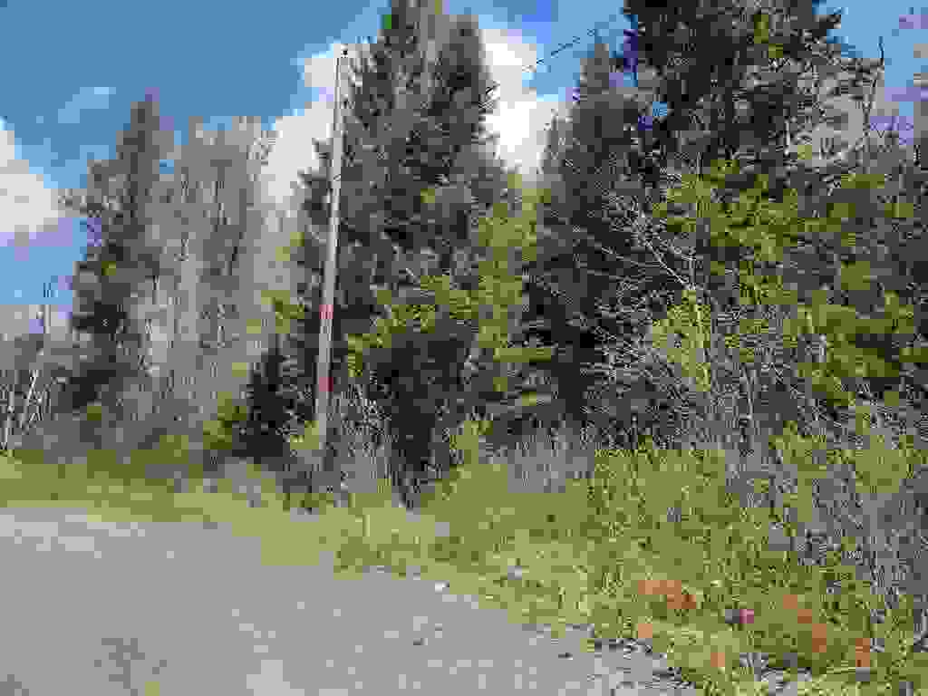 Photo of 40342 US Route 3, Columbia, NH 03576 (MLS # 5072304)
