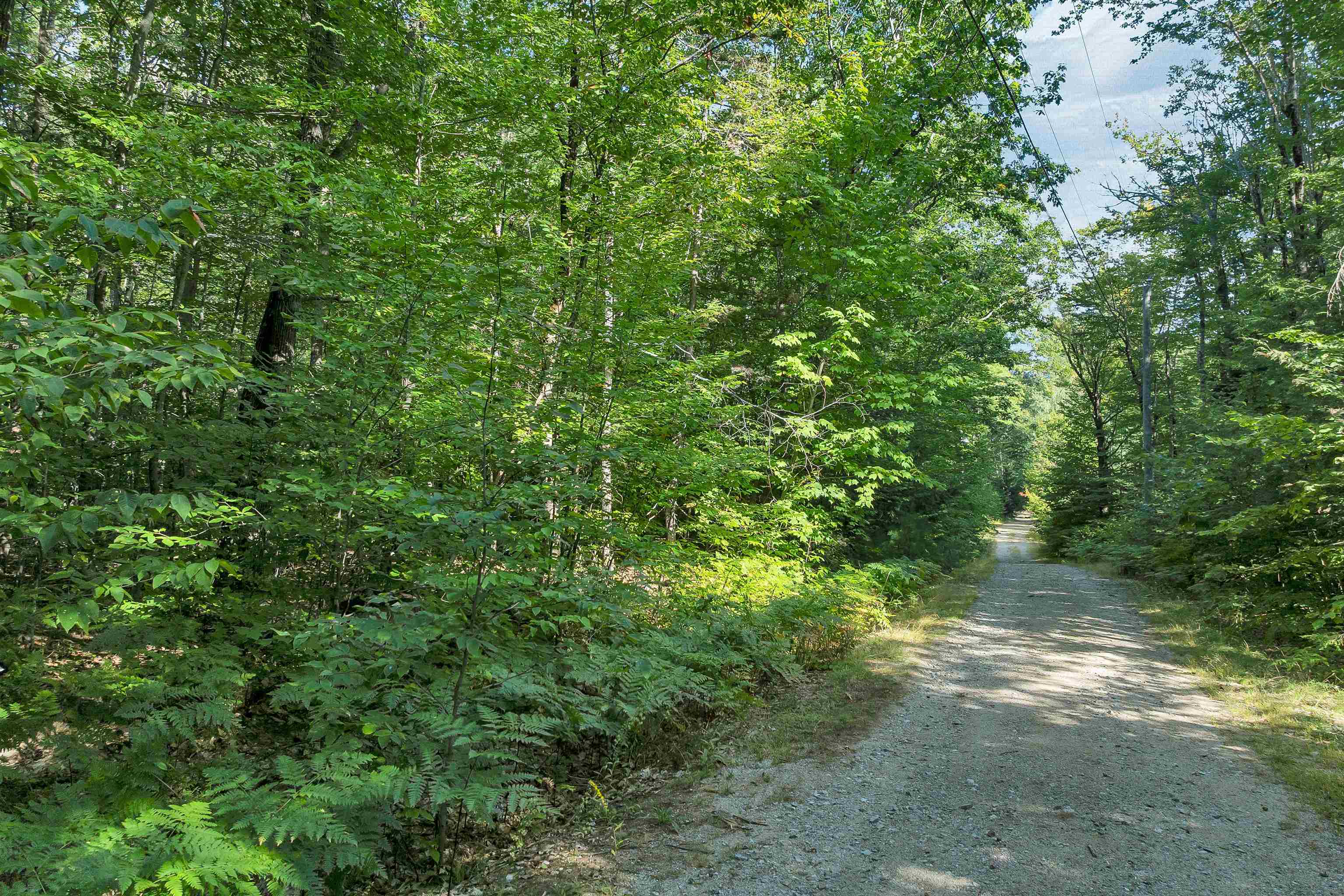 9 Waldsbut Road