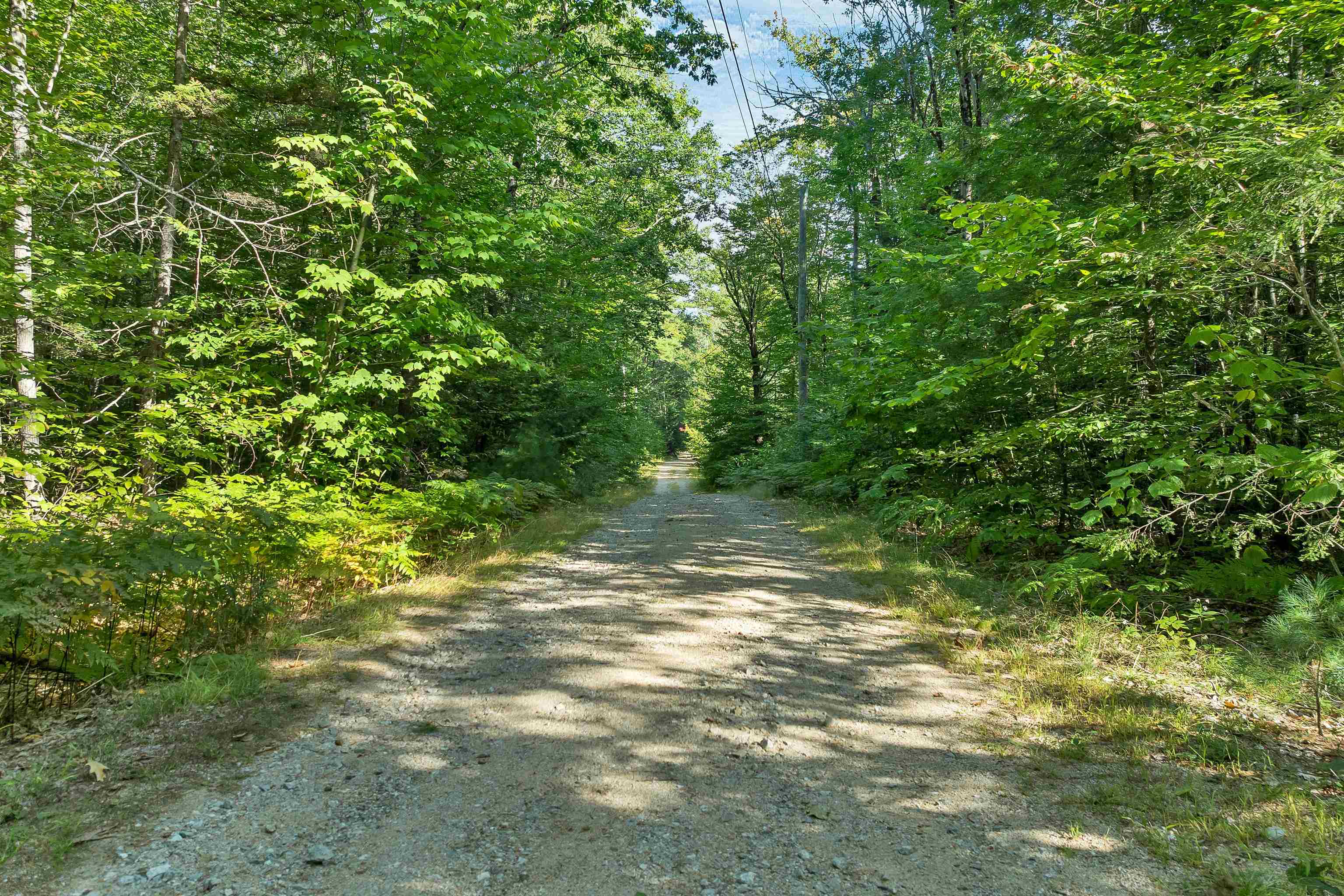 9 Waldsbut Road
