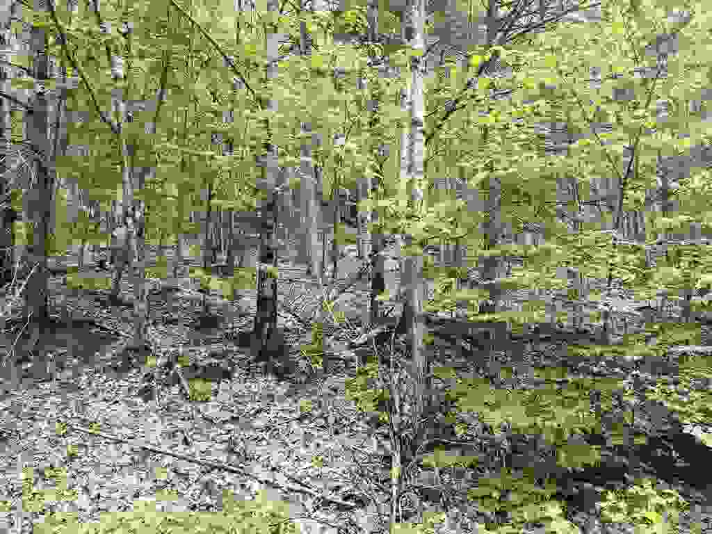 Photo of 51208 Isaax Fox Drive, Campton, NH 03223 (MLS # 5106142)