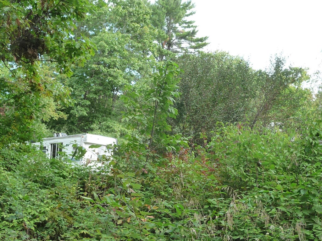Photo of North Road #lot 15/sublot 2, Deering, NH 03244 (MLS # 5110364)