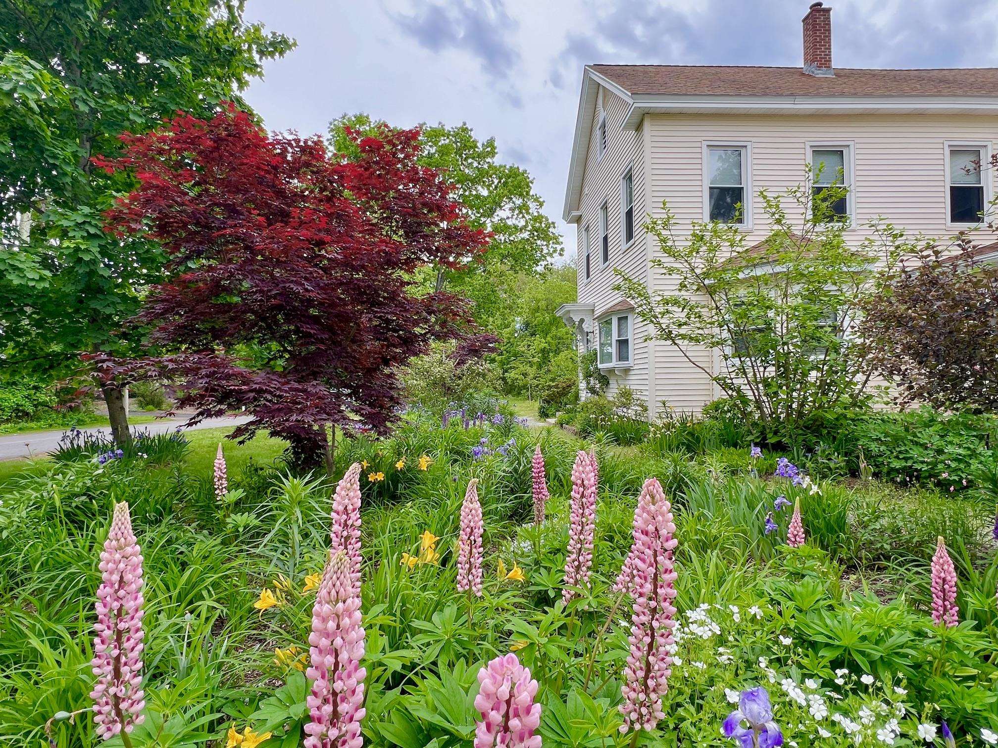 29 Spaulding Street