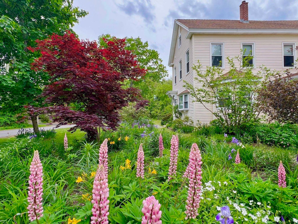 Photo of 29 Spaulding Street, Milford, NH 03055 (MLS # 5094303)