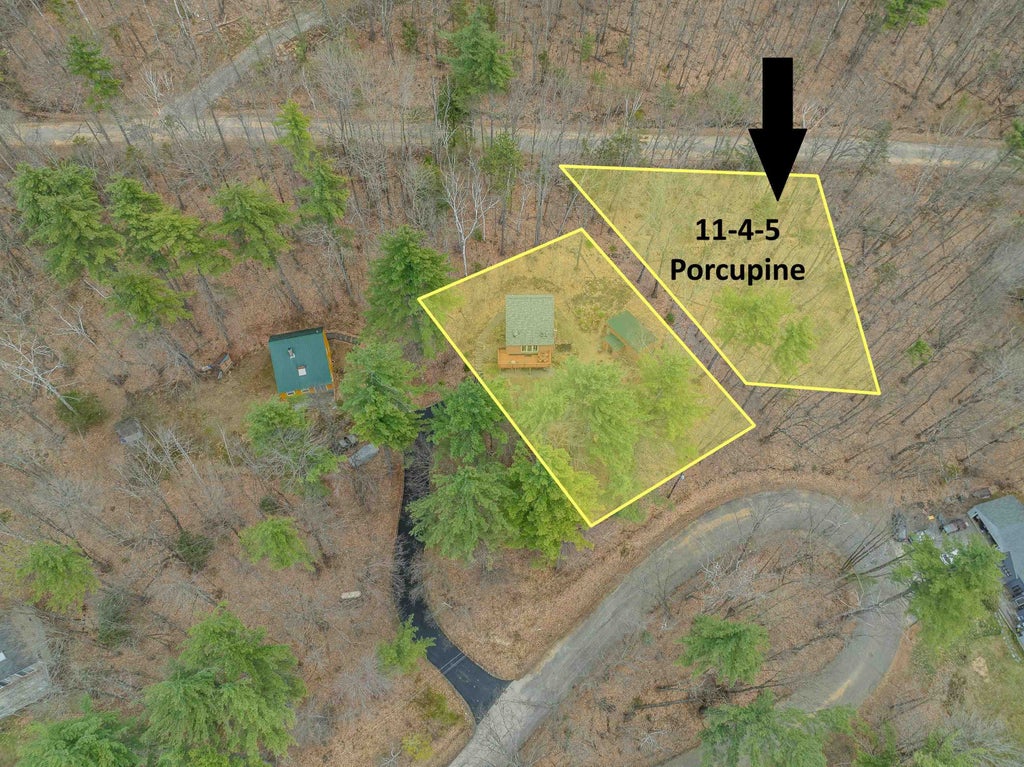 Photo of 1145 Porcupine Drive, Campton, NH 03223 (MLS # 5087158)