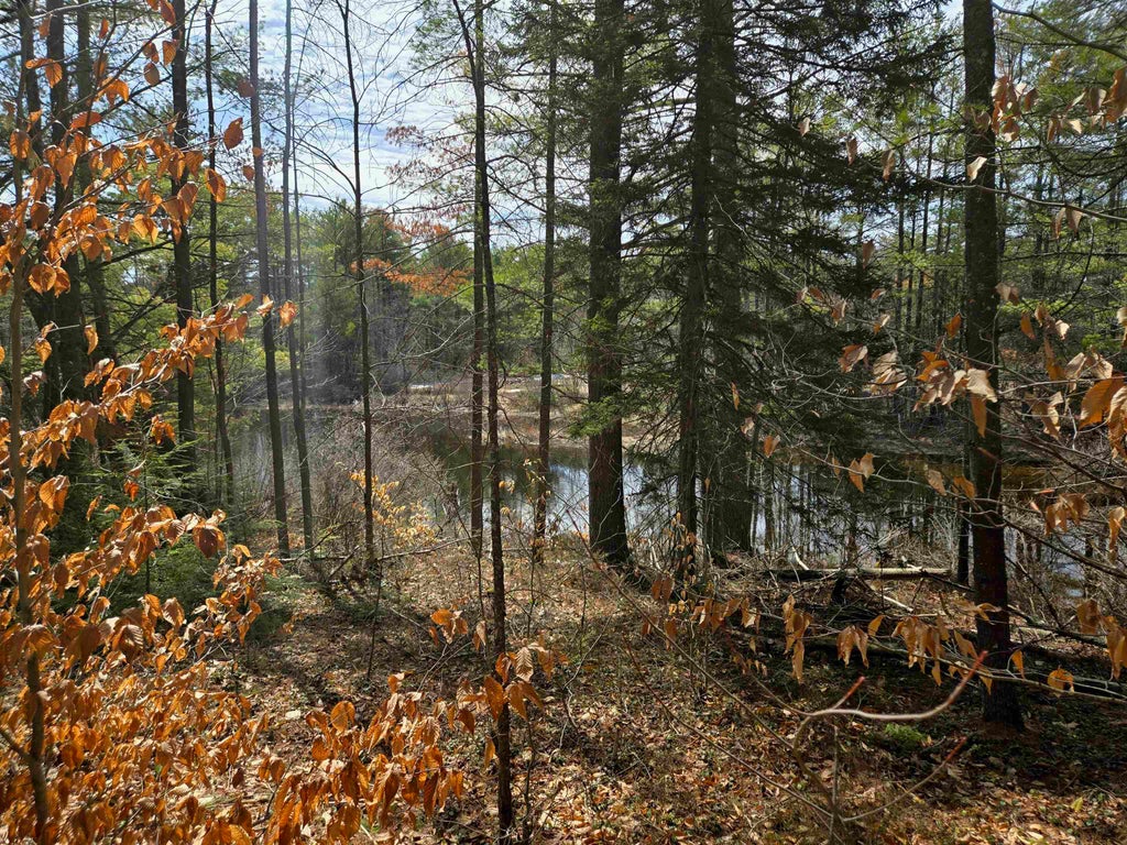 Photo of 179 Chickville Road, Ossipee, NH 03864 (MLS # 5074847)