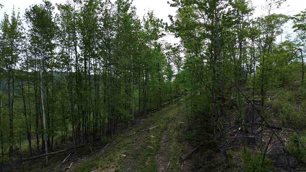Photo of 0 Pound Road, Sutton, NH 03221 (MLS # 5069443)