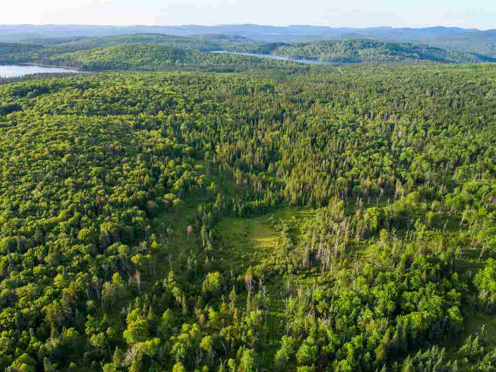 Photo of 78 Diamond Pond Park Road #B, Stewartstown, NH 03576 (MLS # 5072488)