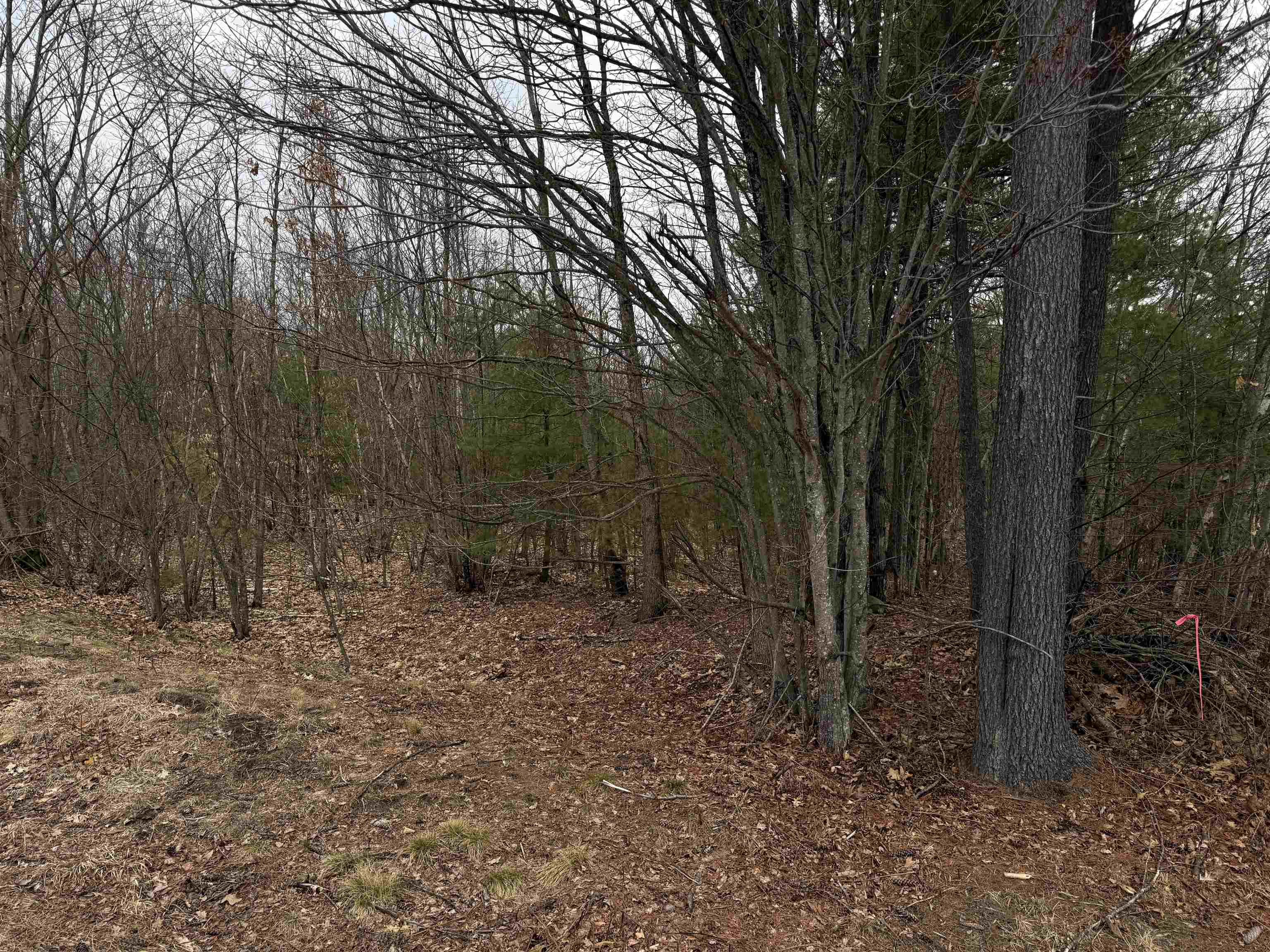 988 Dover Road