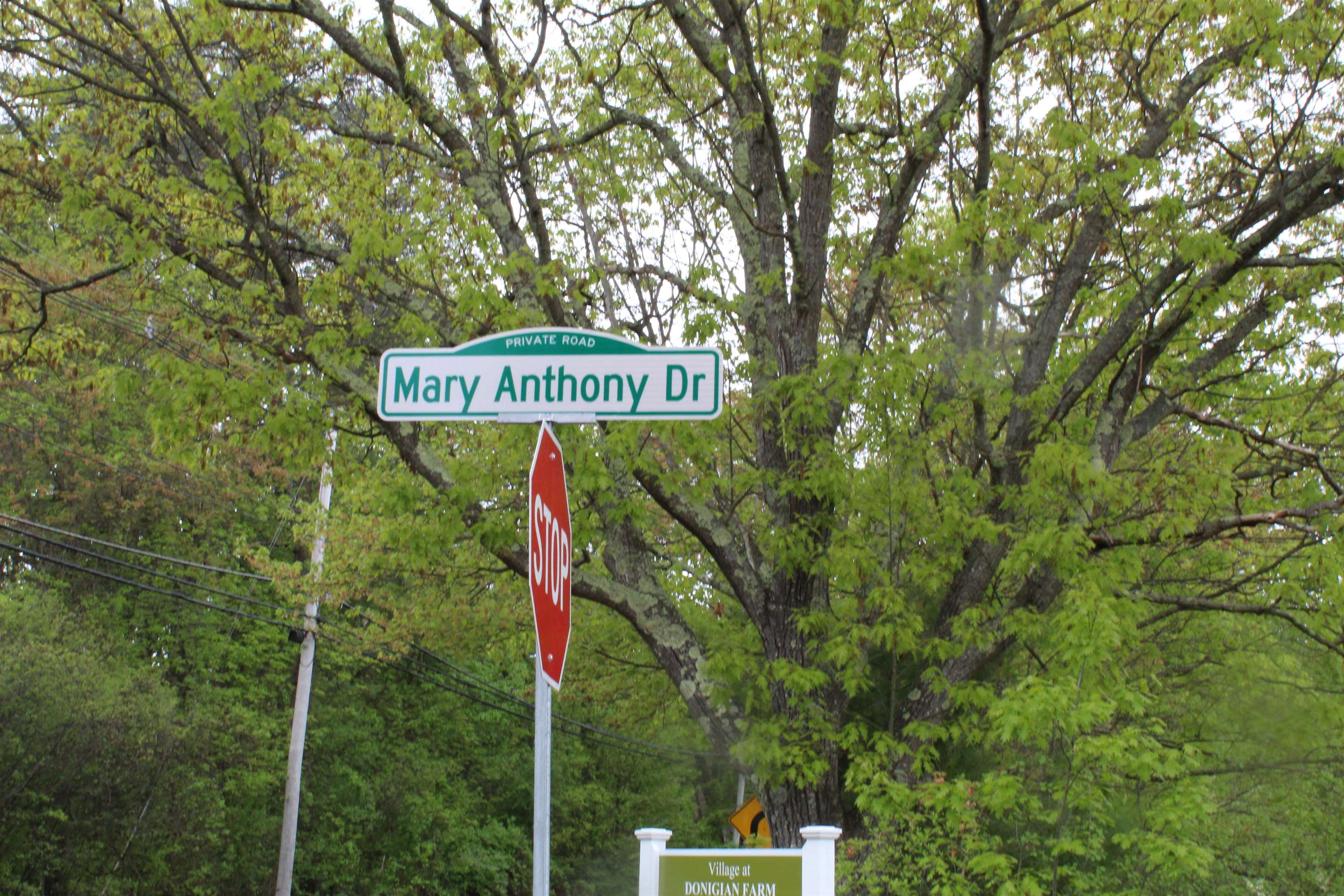 6-18 Mary Anthony Drive