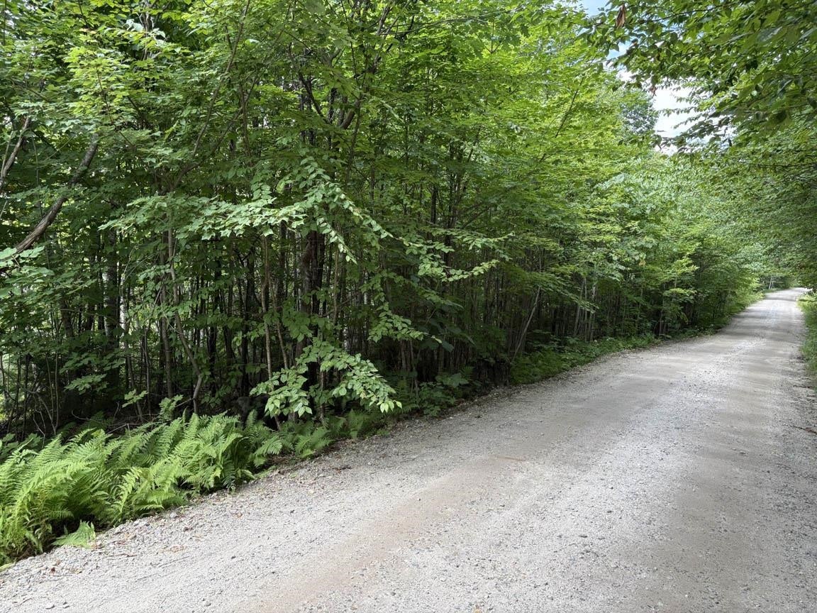 Perkins Hill Road 2