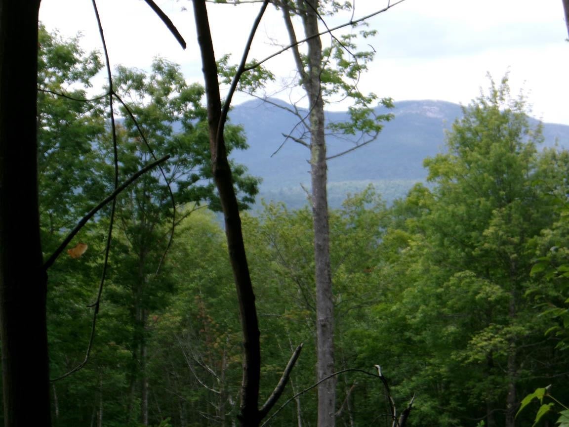 Perkins Hill Road 2