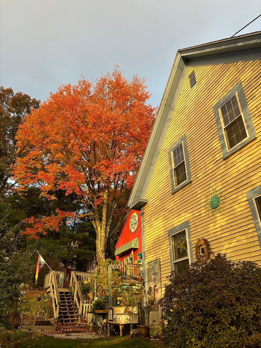 84 Main Street