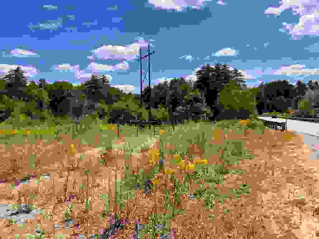 Photo of 00 NH Route 3, Bridgewater, NH 03222 (MLS # 5101790)