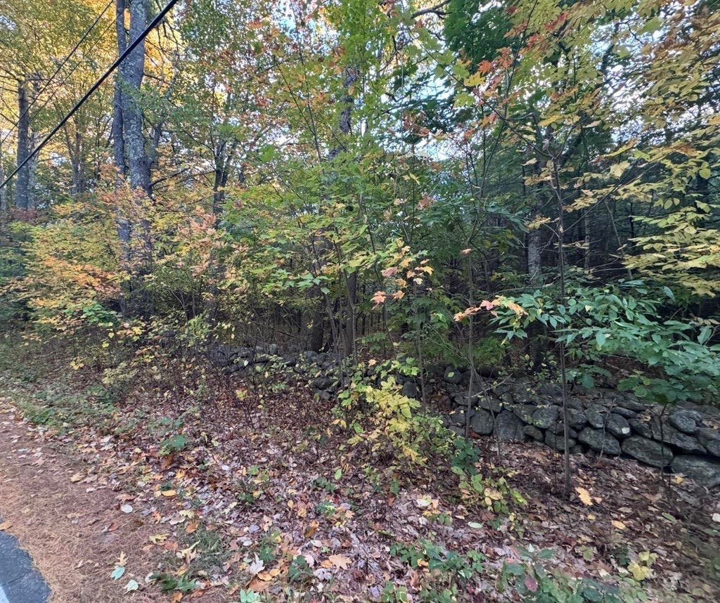 Photo of TBD R49-75-4 Bay Road, Farmington, NH 03835 (MLS # 5113345)
