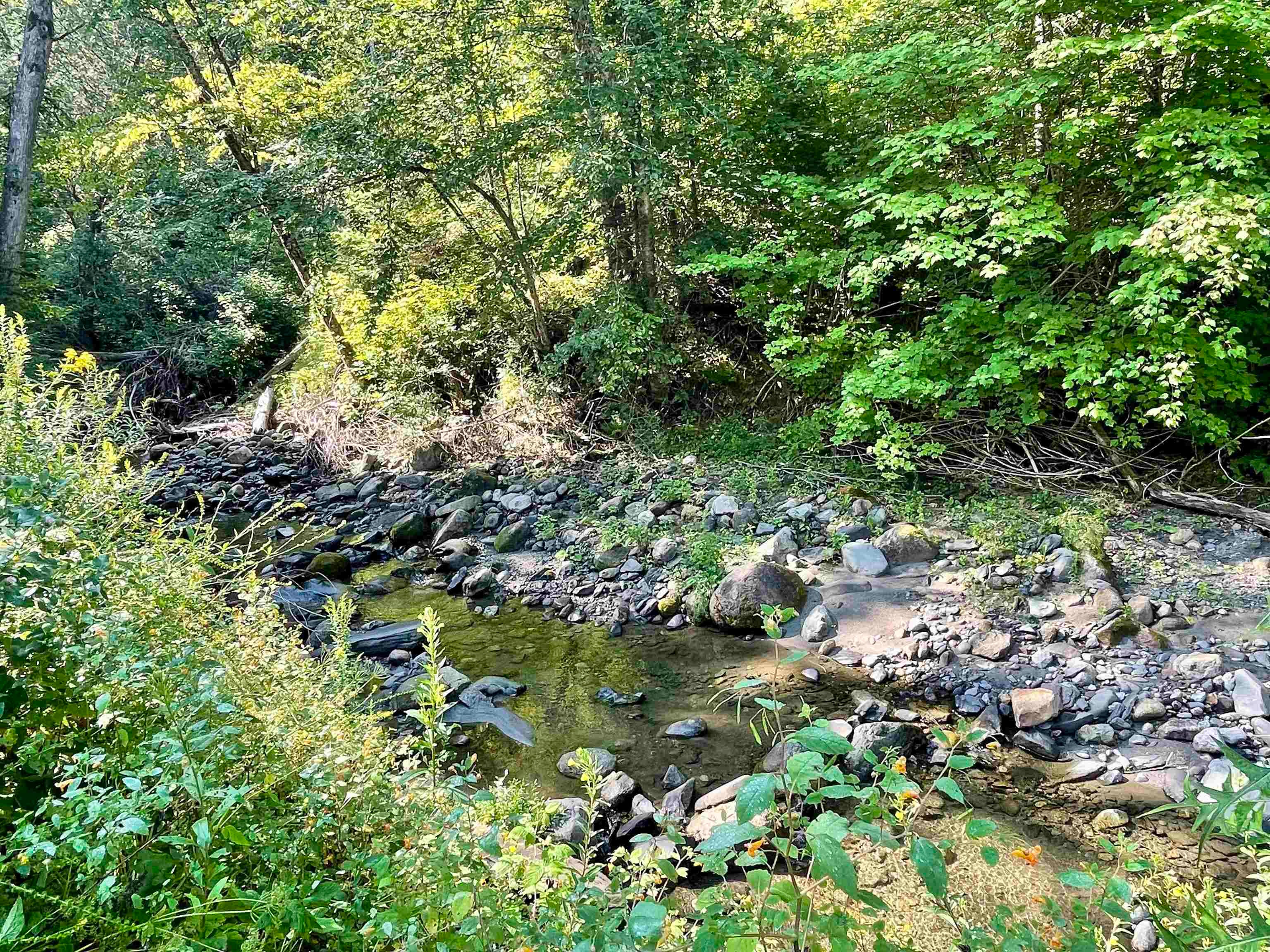 3131 Hollow Road