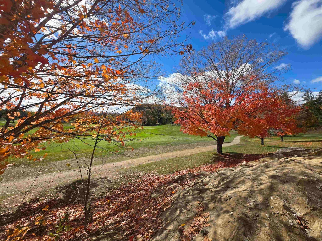 Photo of 7 Hurlin Lane, Jackson, NH 03846 (MLS # 5078989)