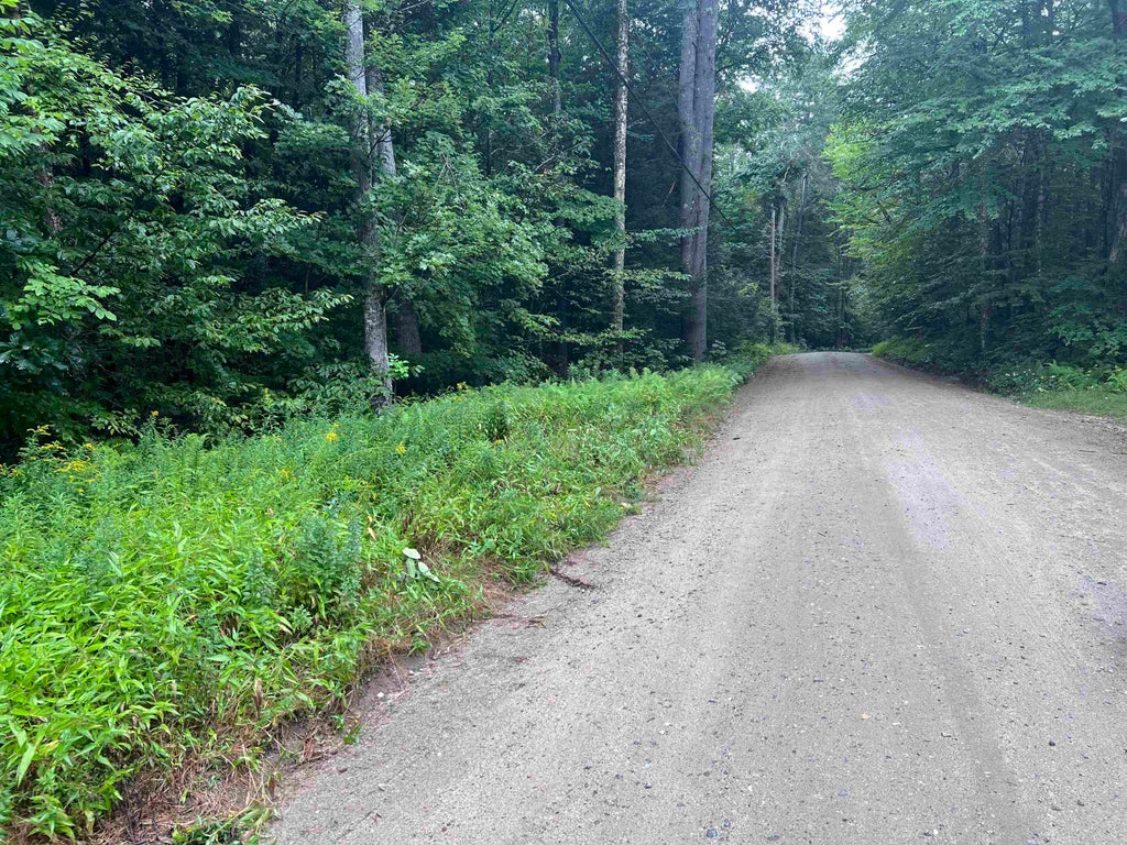 Photo of 0 Fay Martin Road, Richmond, NH 03470 (MLS # 5106418)