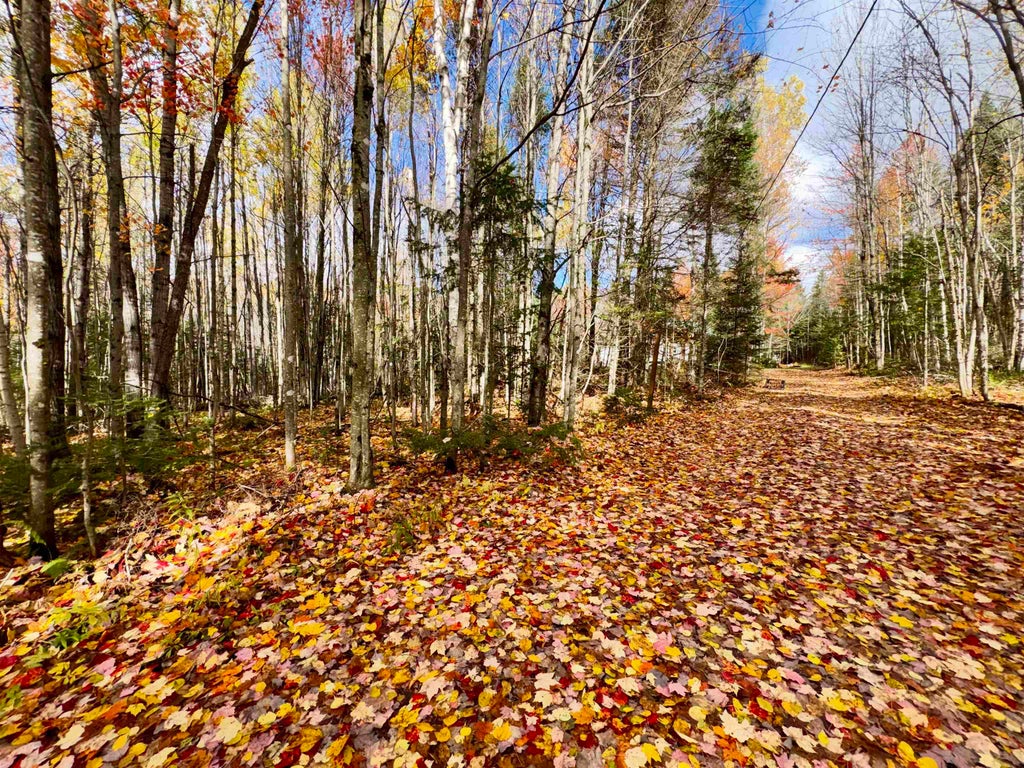 Photo of 67 Lynch Road, Stewartstown, NH 03576 (MLS # 5114457)
