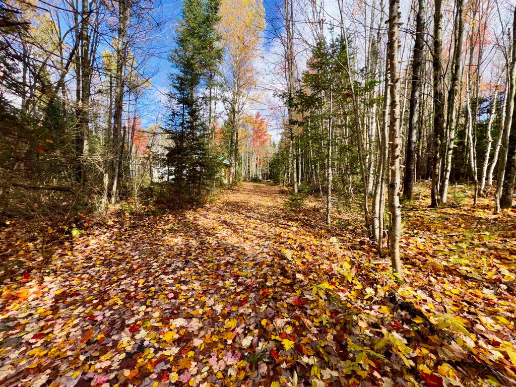 Photo of 67 Lynch Road, Stewartstown, NH 03576 (MLS # 5114457)