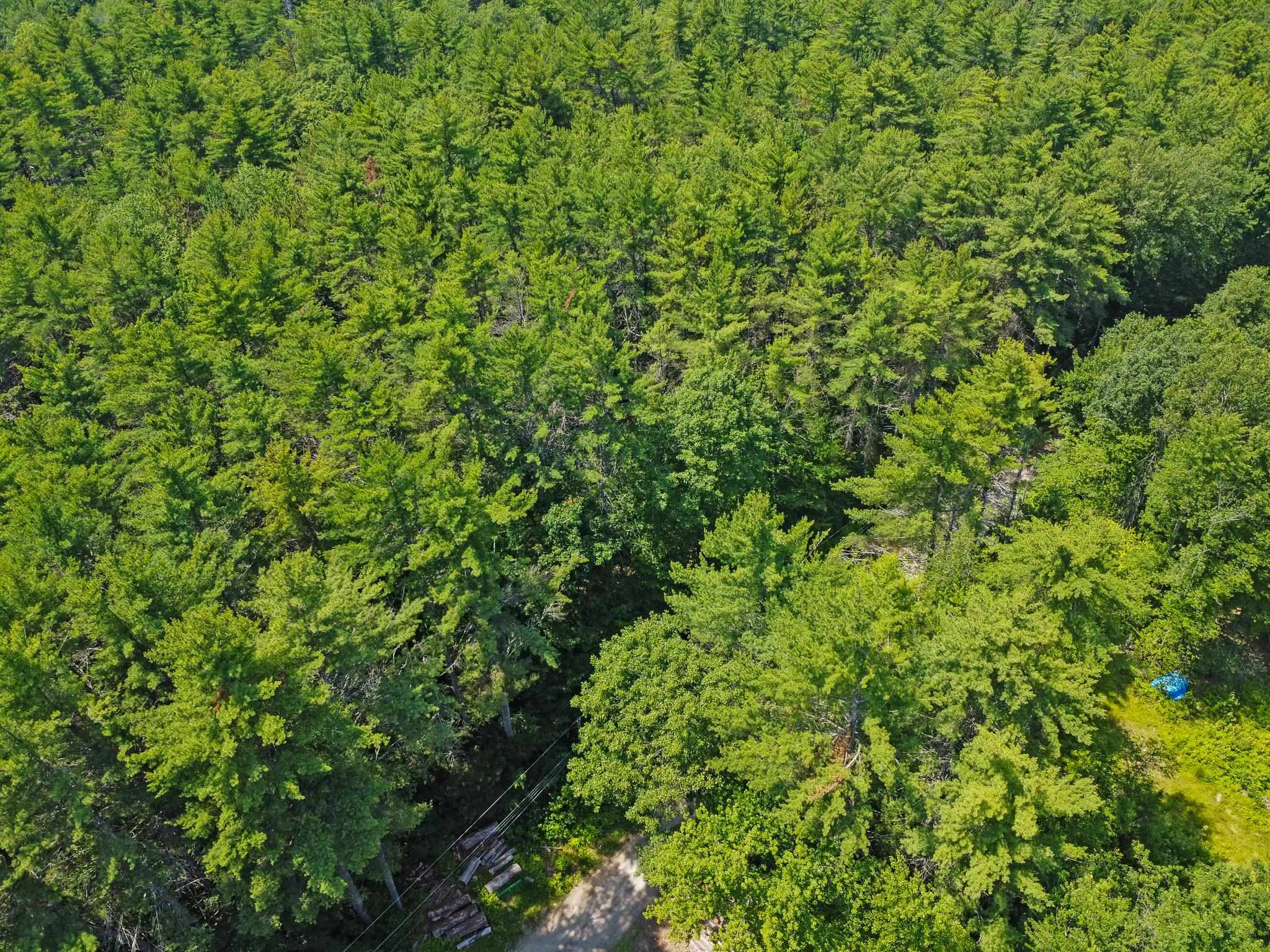 00 Old Woods Road