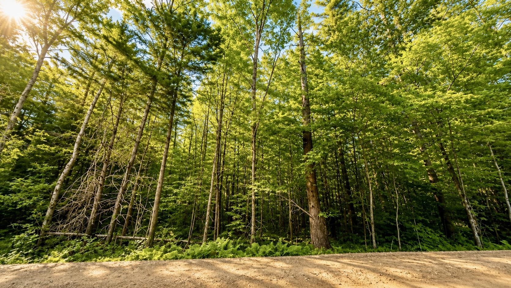 Lot 260-15 2nd NH Turnpike